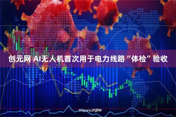 创元网 AI无人机首次用于电力线路“体检”验收