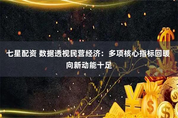 七星配资 数据透视民营经济：多项核心指标回暖 向新动能十足
